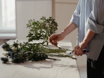 德國包裝法注冊全流程：2025年新指南